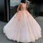 Illusion Flower Appliques A-line Ball Gown, Prom Party Dress, PD3094